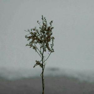 推油按摩《无删减》
