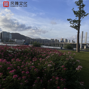 推油按摩《无删减》
